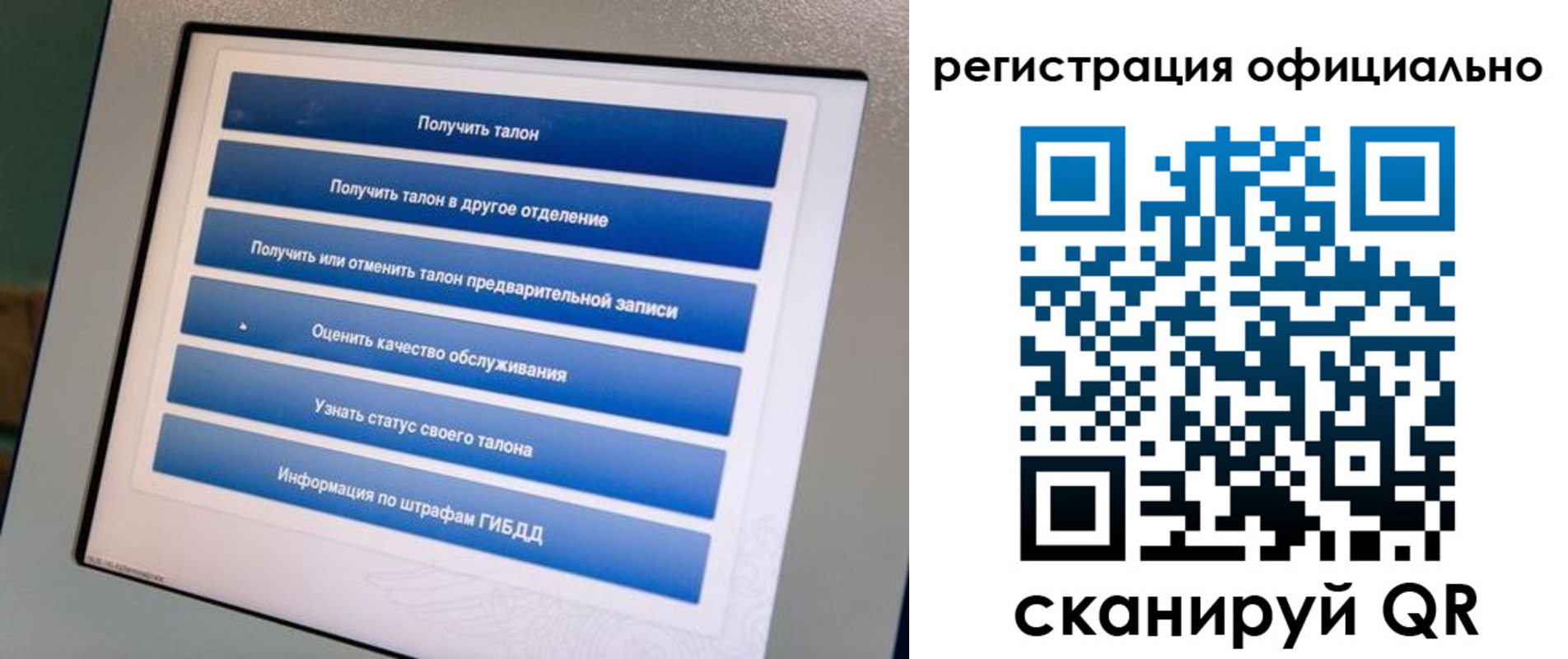 прописка паспорт в Черняховске